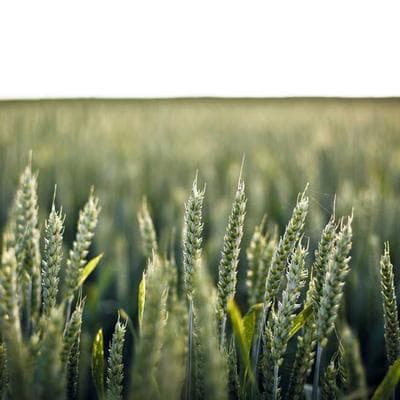 Yoga & Personality Development Instructor